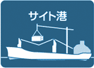 サイト港